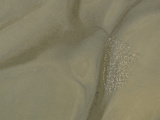 Flamingos Cast Shadows as They Fly over Shallow Water
