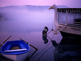 Buy A Rowboat and a Boat with a Goose Shaped Figurehead on Lake Banyoles at AllPosters.com