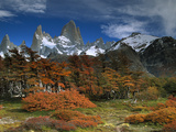 Mount Fitzroy and Lenga Beech (Nothofagus Pumilio) Trees, Los Glaciares National Park, Argentina