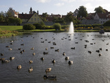 Buy Pond with Mallard Dicks, Almedalen at AllPosters.com