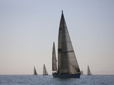 A Group of Sailboats in the Annual Swiftsure International Yacht Race