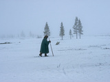 A Nomadic Komi Reindeer Herder Walks in Front of Spruce Trees