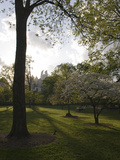 Late Afternoon in Piedmont Park in Midtown, Atlanta