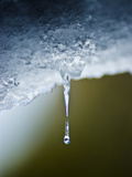 Water Dripping from an Overhang Freezes in Long Delicate Icicles