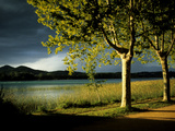 Buy An Approaching Storm and Sunlight on Trees Alongside Lake Banyoles at AllPosters.com