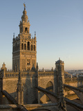 View of the Giralda Tower and the Rooftop of the Cathedral of Seville