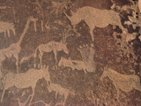 Petroglyphs of Animals Hunted by Bushmen, Twyfelfontein, Namibia