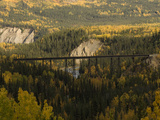 Train Tressel at Riley Creek, Denali National Park , Alaska
