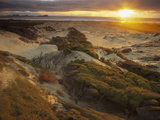 Sunset from Sand Dunes Above Mason Bay Beach, Rakiura National Park, Stewart Island, New Zealand