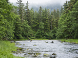 Buy Grizzly Bear (Ursus Arctos Horribilis) Fishing, Pleasant Bay, Pleasant Bay, Alaska at AllPosters.com