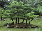 Pines on Island in the Gardens of Kinkaku-Ji Temple, Golden Pavilion