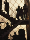 Apartment Residents Await the Outcome of a Police Search for Drugs