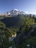 Mount Rainier Surrounded by Forest, Washington