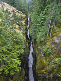 Buy Box Canyon with Flowing Stream, Mount Rainier National Park, Washington at AllPosters.com