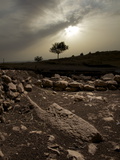 Buy Archaeologists Have Found a Partially Quarried Pillar in Gobekli Tepe at AllPosters.com