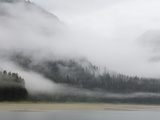 Buy Clouds and Mist over Forest, Admiralty Island National Monument, Inside Passage, Alaska at AllPosters.com