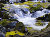 Buy Reflections in Sol Duc River, Olympic National Park, Washington at AllPosters.com