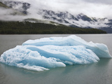 Buy Iceberg in Endicott Arm, Inside Passage, Southeast Alaska at AllPosters.com