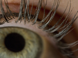 Close Up of a Woman's Eyelashes