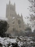 Heavy Snowfall Covers the Cathedral During the 'Blizzard of 2010'