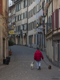 A Man Walks His Dogs in the Morning