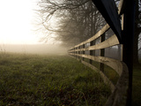A Fence Disappears into Morning Fog in West Virginia Horse Country