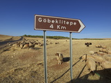 Buy A Sign Directing to the Excavation Site of Gobekli Tepe at AllPosters.com
