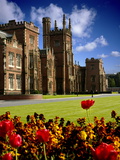 Buy Queen's University in Belfast at AllPosters.com