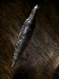 Buy An Obsidian Spear Point from Catalhoyuk at AllPosters.com