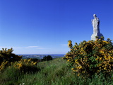 Buy A Statue of Saint Patrick at Saul in County Down at AllPosters.com