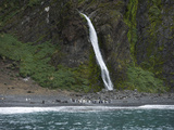 Penguins Beneath a Waterfall in Hercules Bay