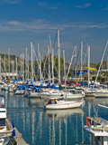 Sailboats Docked Along the Shore of Lake Ontario