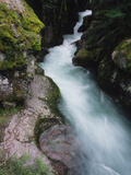 Buy A Stream Rushing Past Moss-Covered Rocks at AllPosters.com