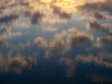 Buy Clouds Reflections in Water, Chincoteague National Wildlife Refuge at AllPosters.com