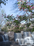 Cherry Trees and Fountain at the Franklin Delano Roosevelt Memorial