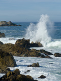 Buy Surf Pounding the Rocks Along the Monterey Bay Coast at AllPosters.com