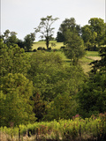 Buy Rolling, Wooded Hills of the Maple Grove Road Rural Historic District at AllPosters.com