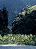 Buy Man in Boat Passing Palm a Tree-Lined Beach on Fatu Hiva at AllPosters.com