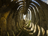 Looking Through the Rib Cage of an African Buffalo Skeleton Photographic Print