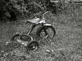 Buy A Tricycle Missing Handlebars in Summer Grass at AllPosters.com