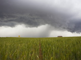 An Intense Storm Waters Wheat Fields