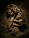 Buy Skeletal Remains of an Infant Adorned with Stone and Bone Beads Found at Catalhoyuk at AllPosters.com