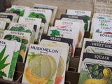 A Collection of Old Garden Seeds