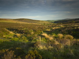Buy A Moorland Landscape on Dartmoor, Devon, Great Britain at AllPosters.com