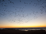 Buy Dawn over the Atlantic Ocean at AllPosters.com