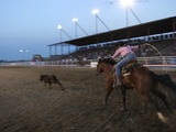 Calf Roping at the Cody Nite Rodeo