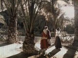 Two People in a Garden in Hamman-Rhira
