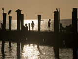 Buy A Backlit View of People on a Pier at AllPosters.com