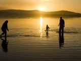 Parents and Child Walk in Shallow Water at Cremorne Beach at Sunset