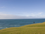 A Hiker at an Overlook Near the Pudding Beach Seal Colony